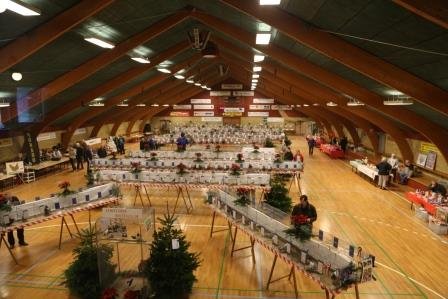 Tullebøllehallen 2014